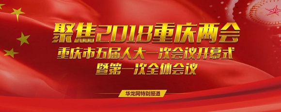 重庆市2018人均收入_上半年谁挣钱最多？重庆人均可支配收入13690元