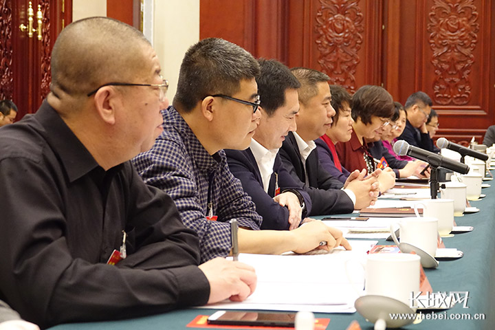 河北省政协十二届一次会议各界别委员分组讨论