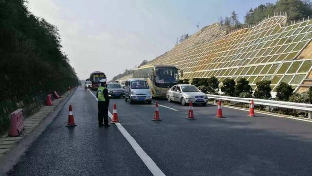 交通事故为什么不能围观？看完这个你就明白了