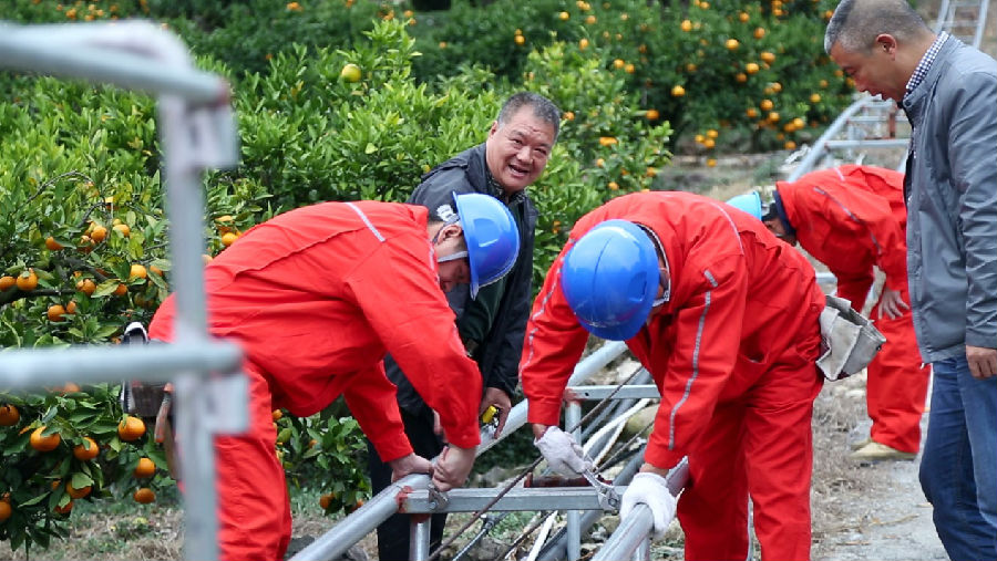 你订购的蜜桔正在派件中