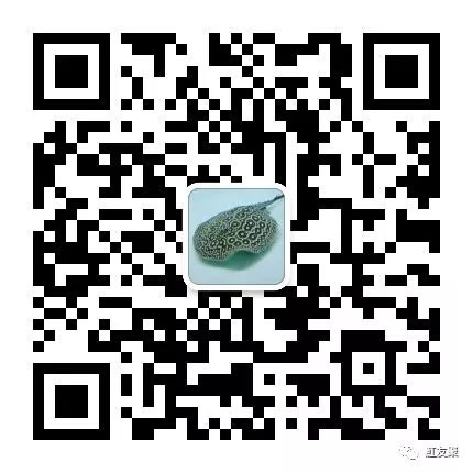 1491982214377980.jpg