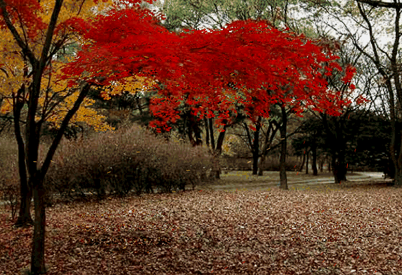 一晃十年的感悟