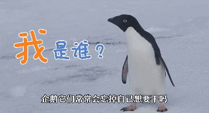 赵又廷在戏中时而慢慢爬向企鹅,时而跪在地上学企鹅走路.