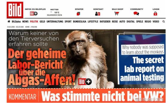 用猴子被做活体实验！德国巨头再次陷入丑闻