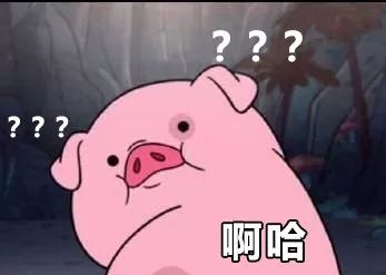 你这只猪表情宅搞笑图图片