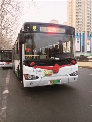 数台车身为白绿相间的224路公交车,车牌号为绿色,可以明显分辨出其为