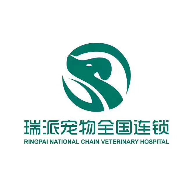 凝心聚力砥砺前行山东瑞派鲁华管理公司在济南成立