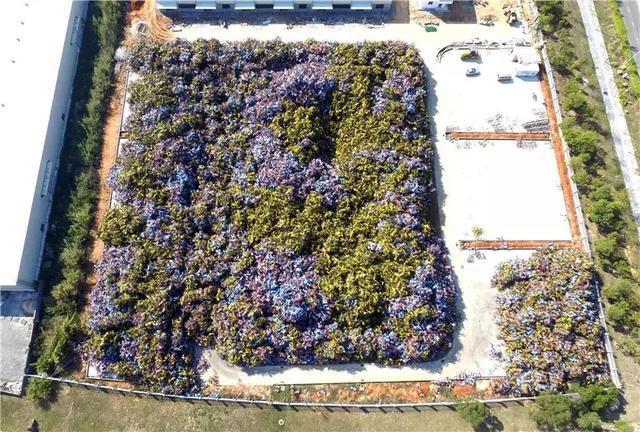 掘金共享单车坟场:50块回收旧车,100多卖到东