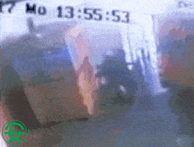 惊心动魄三十秒：大客横冲直撞顶翻多车 