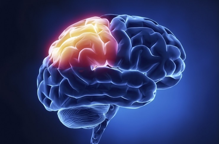 “记忆面包”真的存在，研究人员发现 AI 可激发大脑潜能