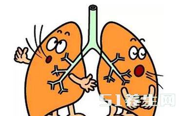 肺气虚弱,中医教您3个方法滋补