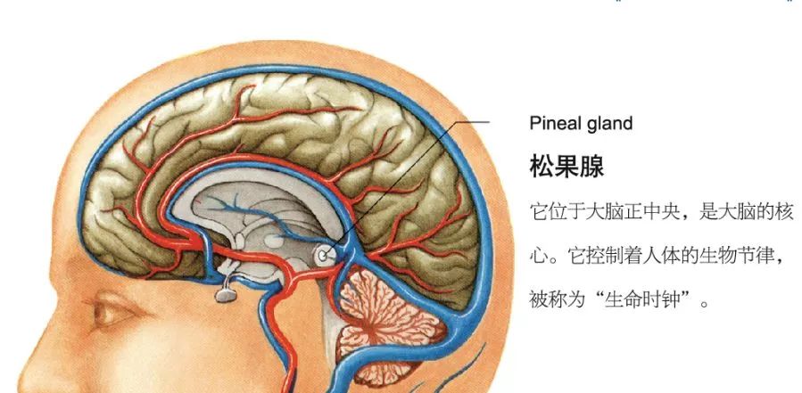 点击查看源网页