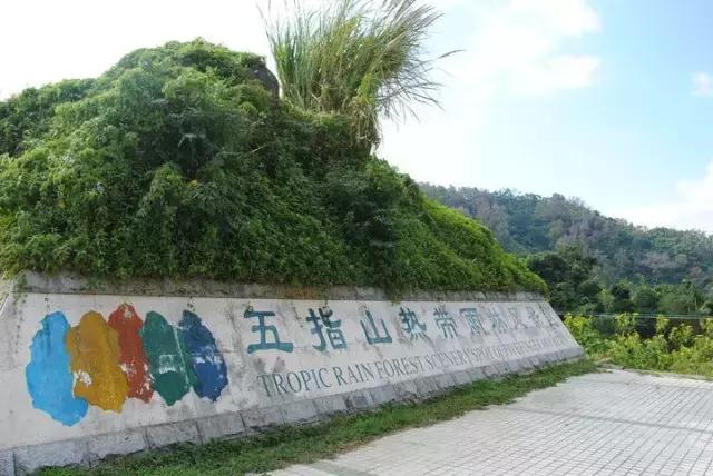 解密荒野求生中国拍摄地|海南五指山热带雨林