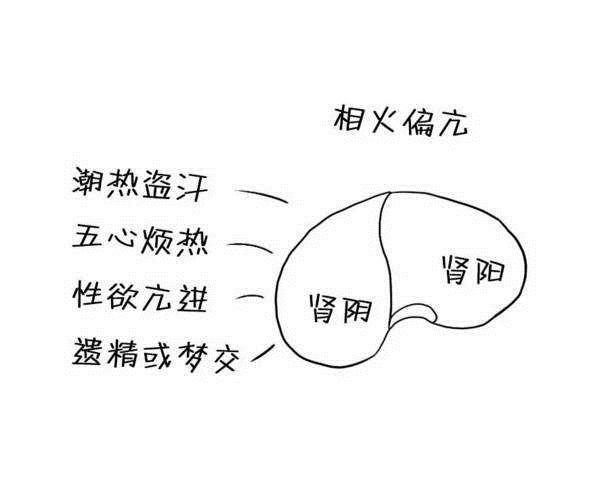 肾中真水亏耗,则肾中虚火妄动,形成了性欲亢进,阳强易举的状态.