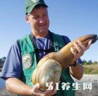 3大见效最快的补肾偏方,增强肾功能,10分钟见