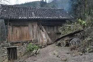 0305D0A811A177475EFB36D9CCA1C23029AD3D49_size19_w320_h212.jpeg