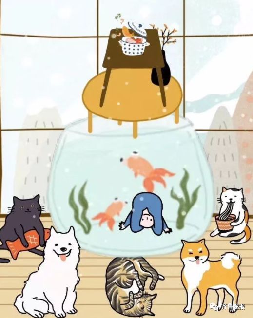 文章配图