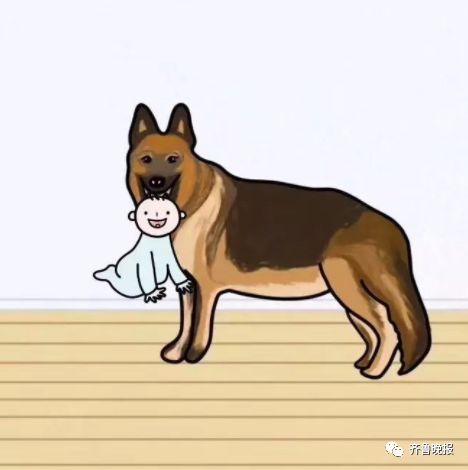 文章配图