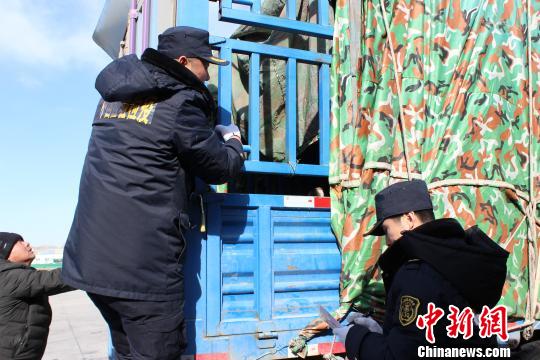 图为检验检疫人员为引进的驯鹿作登记 李树明 摄 图为检验检疫人员为引进的驯鹿作登记 李树明 摄