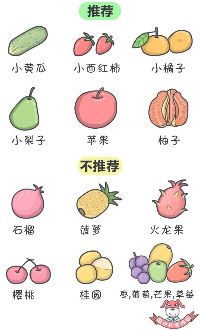 ڼƻУʳƷ嵥һõϣ