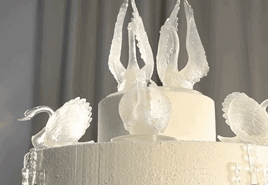 惊了！这一百多万的蛋糕，没有那个姑娘抵挡得了！