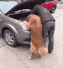 惊心动魄三十秒：地铁车站上演死神来了 