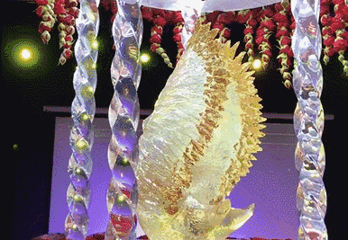 惊了！这一百多万的蛋糕，没有那个姑娘抵挡得了！