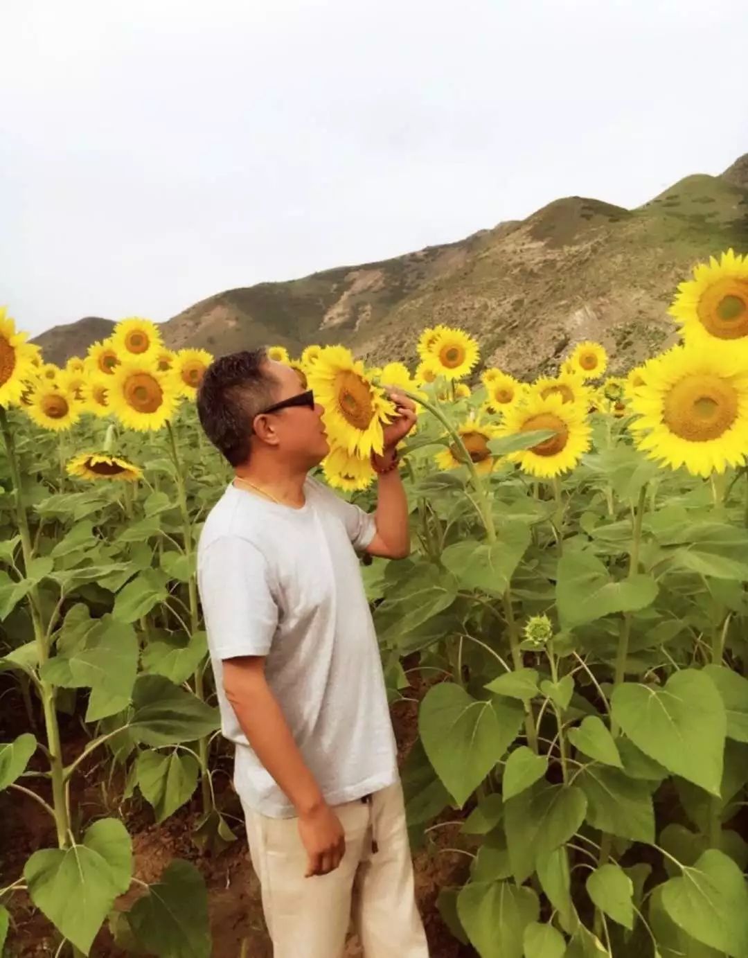 孟林在向日葵花丛中.受访者供图