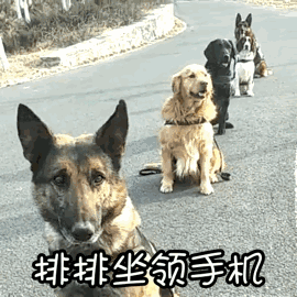 article_img