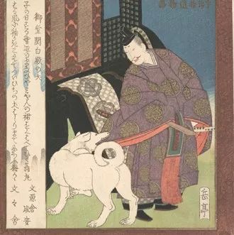 日本文学中的“犬”：猫狗对峙，受伤的总是狗？