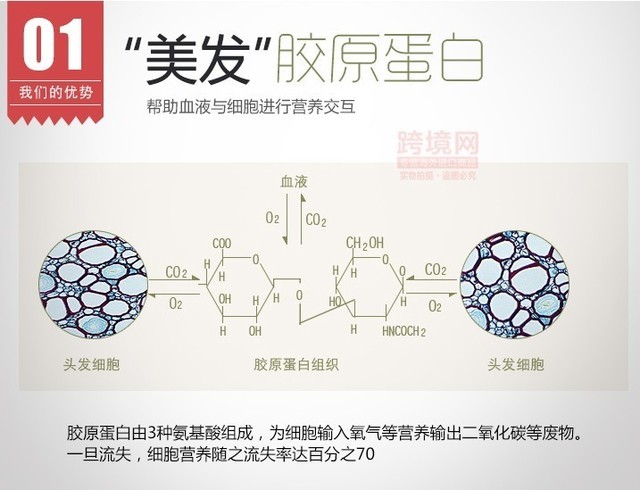 天气逐渐转冷 我们该如何舒适地度过金秋？ 