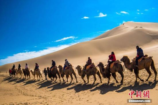 2月19日，游客骑骆驼畅游敦煌鸣沙山。 王斌银摄