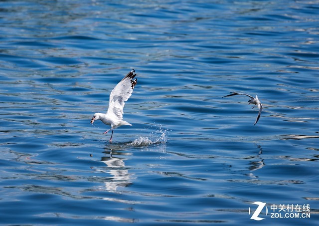 手握“电磁炮”是何种体验？尼康720镜头上手 