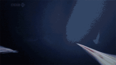 即时 正文 图源:gfycat 洪堡乌贼是每天夜里海面上最惹眼的生物之一.