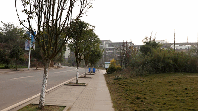 智云云鹤2稳定器 智云云鹤2稳定器