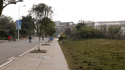 智云云鹤2稳定器 智云云鹤2稳定器