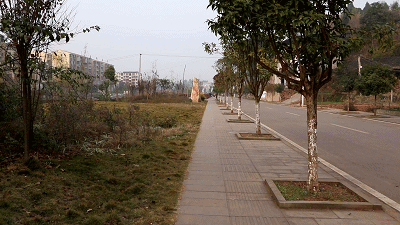 智云云鹤2稳定器 智云云鹤2稳定器