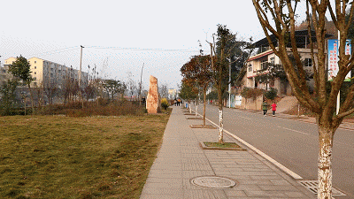 智云云鹤2稳定器 智云云鹤2稳定器