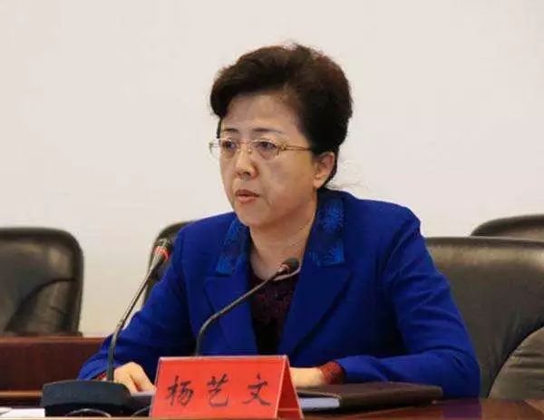 5位女性担任十九届中央首轮巡视组组长,都是啥