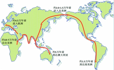 非洲人口迁移_10万年前现代人类开始走出非洲时人口数量还不到一百万 如今全(2)