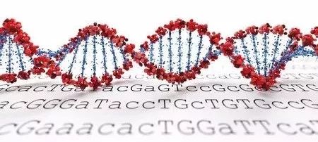 罕见病日 | 新版CRISPR技术有望根治亨廷顿舞
