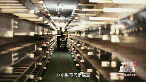 重器:摩天造楼机——