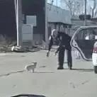 警察叔叔帮助流浪狗 小心翼翼的样子暖极了！