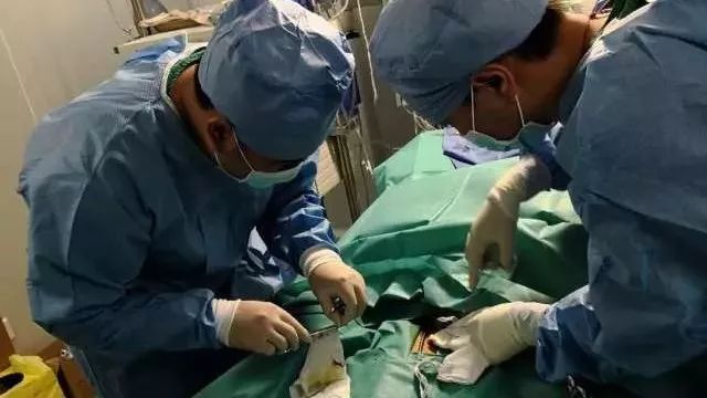 广州女子患感冒住进ICU 靠人工肺支撑18天