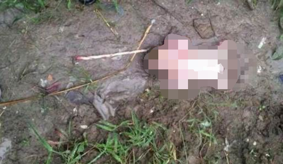 大连女婿去世留下遗腹子 姥姥竟将外孙丢野外