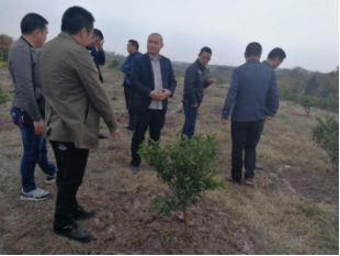 四川森霖农业现代产业园项目正式落地仁寿