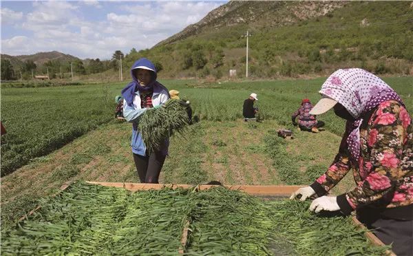 脱贫攻坚|新时代:扶贫攻坚,全面小康