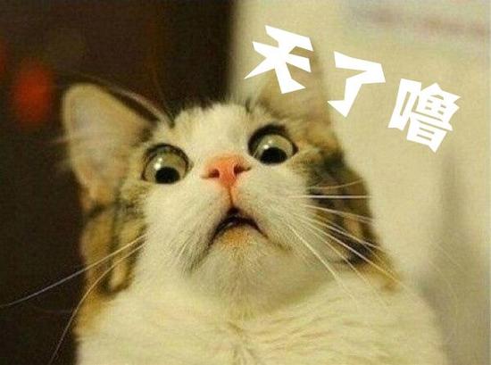 “躺赚”原来是这样