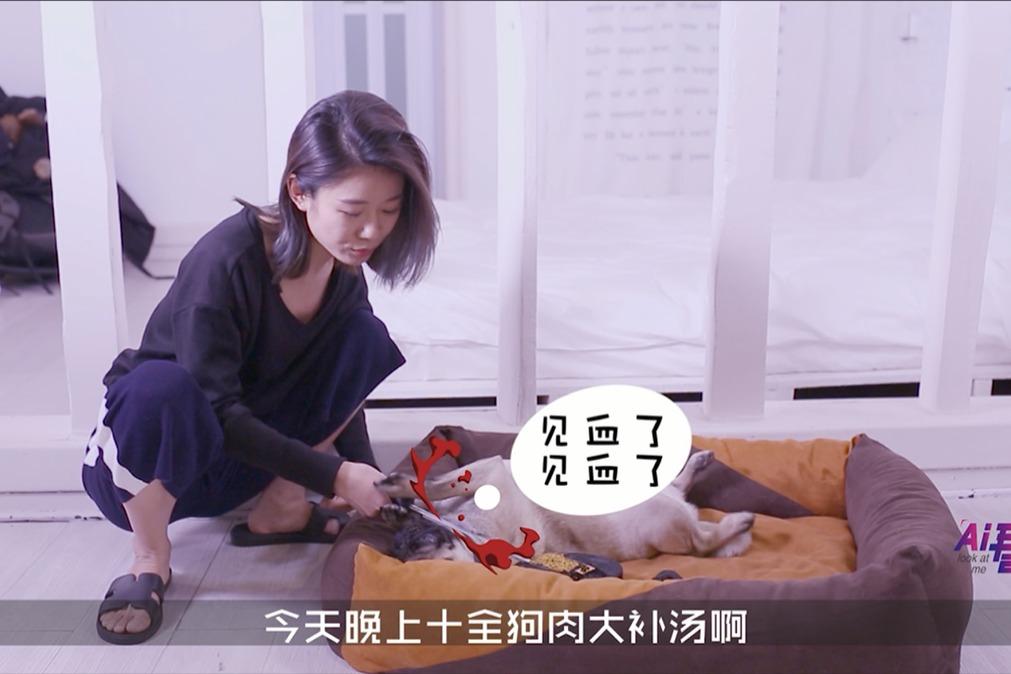 Ai看我家有忠犬之狗娃的花式用法_凤凰网视频_凤凰网