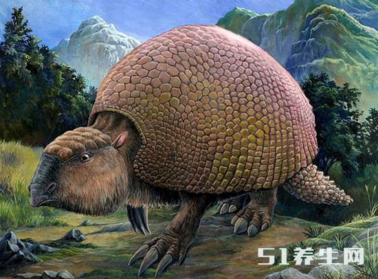 男子发现巨型“恐龙蛋”，专家分析后，才知道是“远古巨兽”
